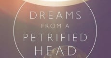 Dreams From a Petrified Head (2011)