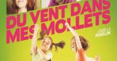 Du vent dans mes mollets film complet