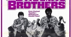 Dynamite Brothers (1974) stream