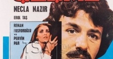 Çesme (1977) stream