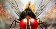 Eega