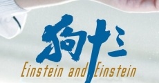 Einstein and Einstein (2018) stream