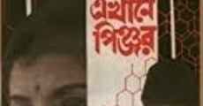 Ekhane Pinjar (1971) stream