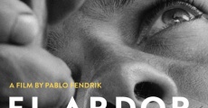 El Ardor (2014)