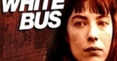 Il bus bianco