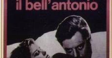 Il bell' Antonio