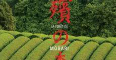 La forêt de Mogari streaming