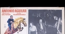 El caballo Bayo (1969) stream