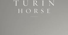 Le cheval de Turin streaming