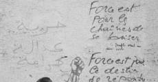 Le chant des tortues