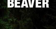 Mr. Beaver