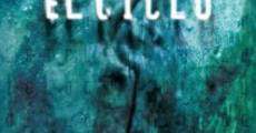 El ciclo (2003) stream