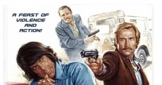 Il cinico, l'infame, il violento (1977) stream