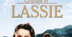 Courage of Lassie (1946) stream