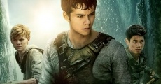 The Maze Runner (2014) stream