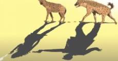 Película El drama de las hienas