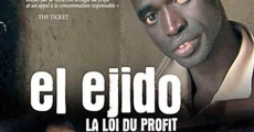 Película El Ejido, la loi du profit