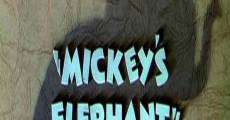 Ver película El elefante de Mickey