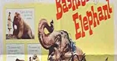 Filme completo The Bashful Elephant