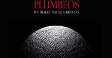 Película El enigma de los libros plúmbeos