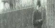 L'insaisissable pickpocket (1908) stream