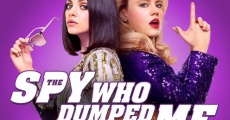 The Spy Who Dumped Me (2018) stream