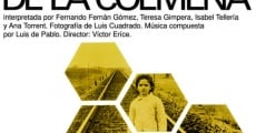 El espíritu de la colmena (1973) stream