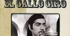 El gallo giro (1948) stream