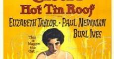 Cat on a Hot Tin Roof (1958) stream