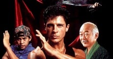 American Ninja V (1993) stream