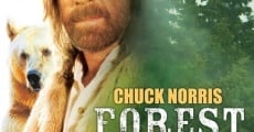 Forest Warrior (1996) stream