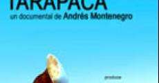 El Lolo de Tarapacá (2011) stream