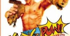 Kung Pow: Le grand poing streaming