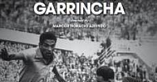 Película El mito de Garrincha