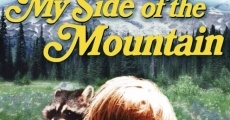 Película El muchacho y su montaña