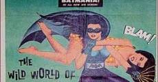 The Wild Wild World of Batwoman