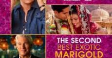 The Second Best Exotic Marigold Hotel (2015)