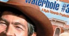 Waterhole #3 (1967) stream