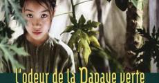 L'odeur de la papaye verte streaming