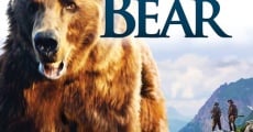 L'ours film complet