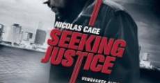 Seeking Justice (2011) stream