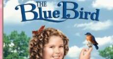 The Blue Bird (1940)