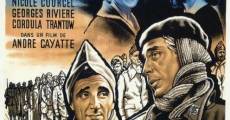 Le passage du Rhin (1960) stream