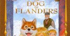 Karupisu kodomo gekijô furandaasu no inu - Flanders no Inu streaming