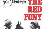 The Red Pony film complet