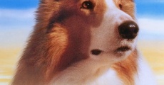 Ver película El regreso de Lassie