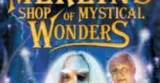 Merlin's Shop of Mystical Wonders (1996) stream