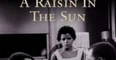 Un raisin au soleil streaming