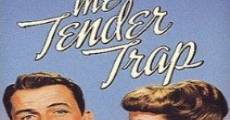 The Tender Trap (1955) stream