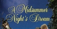 Filme completo Sonho de Uma Noite de Verão